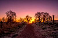 Chatelherault Sunrise, Hamilton