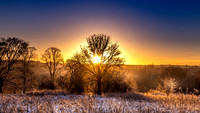 Winter Morning, Baron's Haugh, Motherwell