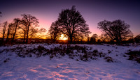 Winter Sunset, Dalziel Estate, Motherwell