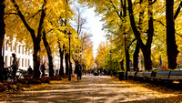 Autumn Streets, Karl Johan Gate, Oslo