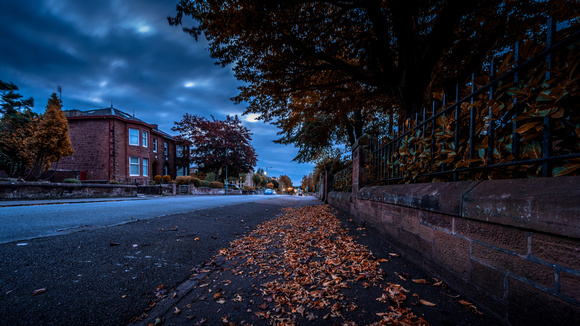 Motherwell Autumn on Douglas Street