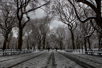 Snowy Walk, Central Park