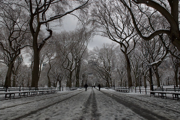 Snowy Walk, Central Park