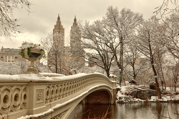 Bow Bridge, Central Park