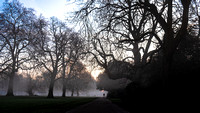 The Runner, Hyde Park, London