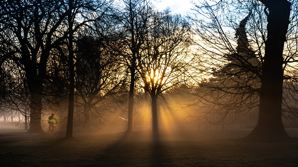 Into the light, Hyde Park, London