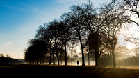 Morning Run, Hyde Park, London